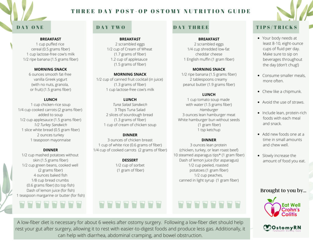 An image of page 1 of the three-day post-op ostomy guide