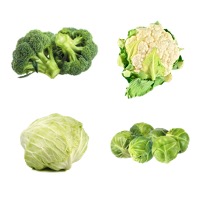 A close up image of 4 brassica vegetables, including broccoli, cauliflower, cabbage, and brussels sprouts.