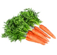 An up close image of a bunch of large carrots
