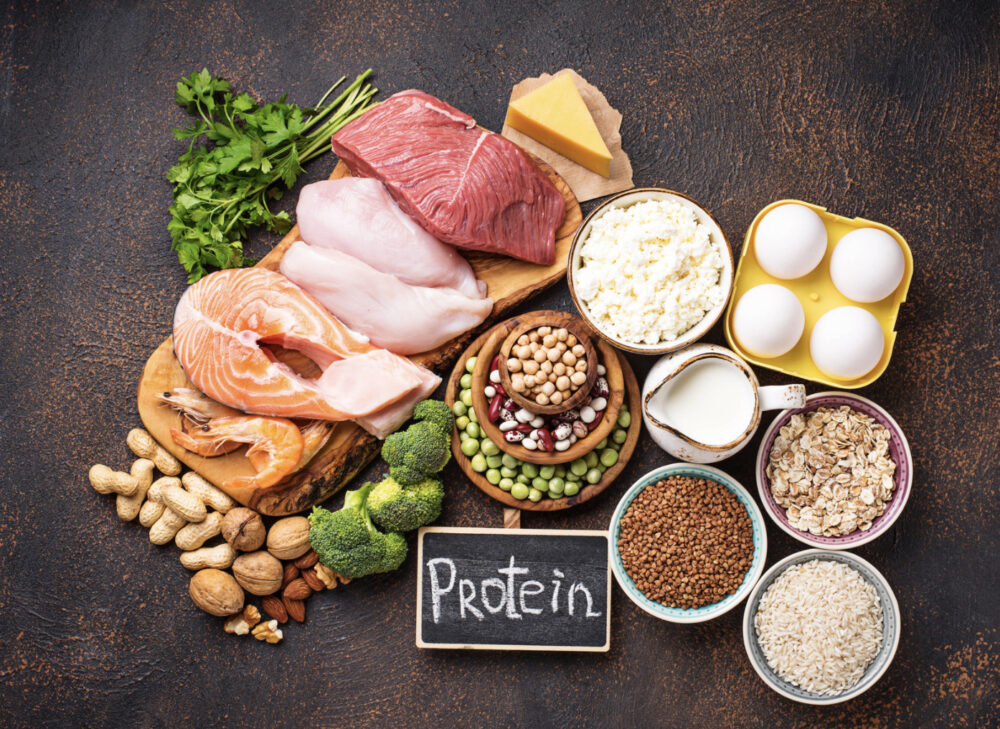 an image of different sources of protein