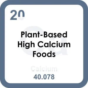 Plant-Based High Calcium Foods