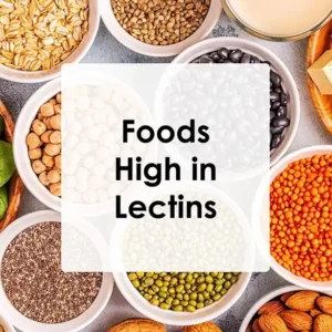 Foods High in Lectins