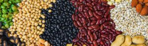 A close up image of piles of foods that contain lectins, including peas, black eyed peas, black beans, red kidney beans, almonds, peanuts, and barley.