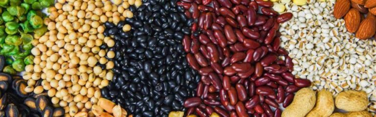 A close up image of piles of foods that contain lectins, including peas, black eyed peas, black beans, red kidney beans, almonds, peanuts, and barley.