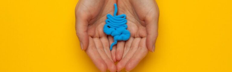 An image displaying a pair of open hands gently cradling a simplified, three-dimensional blue model of the human digestive system against a bright yellow background, symbolizing careful management and support for digestive health, particularly focusing on IBD-related constipation issues.