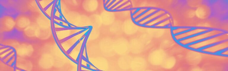 Illustration of a DNA double helix, symbolizing the genetic factors involved in the study of inflammatory bowel diseases (IBD) such as ulcerative colitis and Crohn's disease.